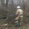 В Тульской области спасатели устраняют последствия порывистого ветра