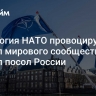 Идеология НАТО провоцирует раскол мирового сообщества, заявил посол России