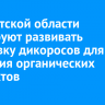 В Иркутской области планируют развивать заготовку дикоросов для создания органических продуктов