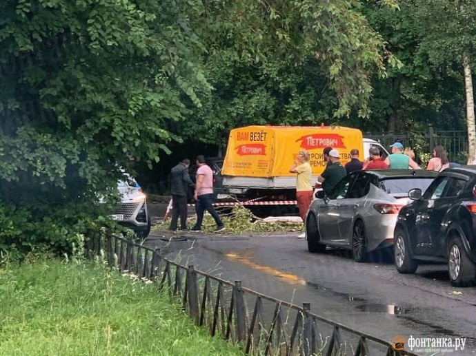 Упавшее во время урагана дерево убило петербурженку