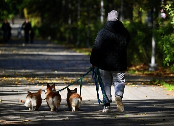 В Москве на следующей неделе температура будет выше нормы