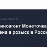 Певица-иноагент Монеточка объявлена в розыск в России