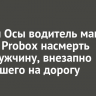 Вблизи Осы водитель машины Toyota Probox насмерть сбил мужчину, внезапно вышедшего на дорогу