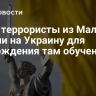 СМИ: террористы из Мали ездили на Украину для прохождения там обучения