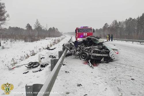 Прокуратура взяла на контроль проверку по факту смертельного ДТП в Приамурье