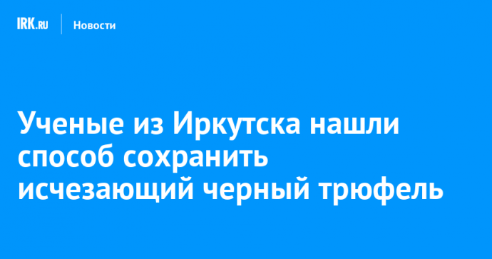 Ученые из Иркутска нашли способ сохранить исчезающий черный трюфель