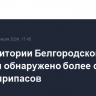 На территории Белгородской области обнаружено более ста суббоеприпасов