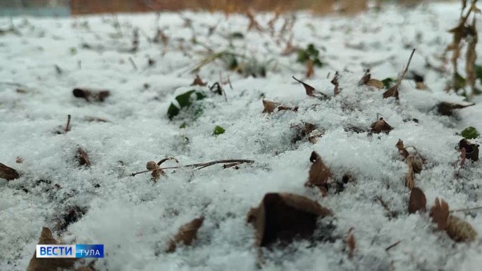 В Тульской области ожидается мокрый снег и гололедица