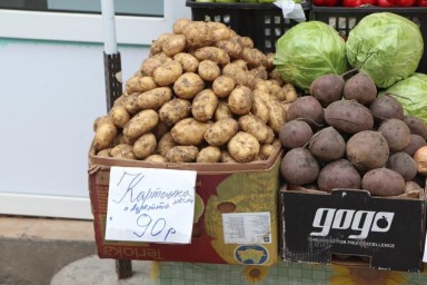 Овощной парадокс: зачем Приморью импорт картофеля при высокой урожайности