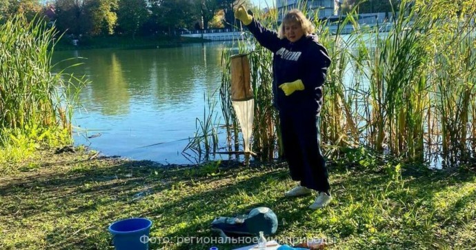 В минприроды показали, как расследуют причины гибели птиц и рыбы в двух озёрах Калининграда