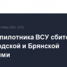 Два беспилотника ВСУ сбито над Белгородской и Брянской областями