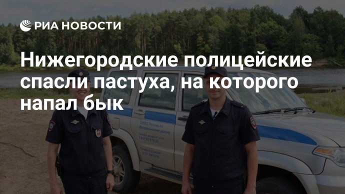 Нижегородские полицейские спасли пастуха, на которого напал бык