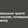 На Байкальском тракте спасли косулю, попавшую под машину