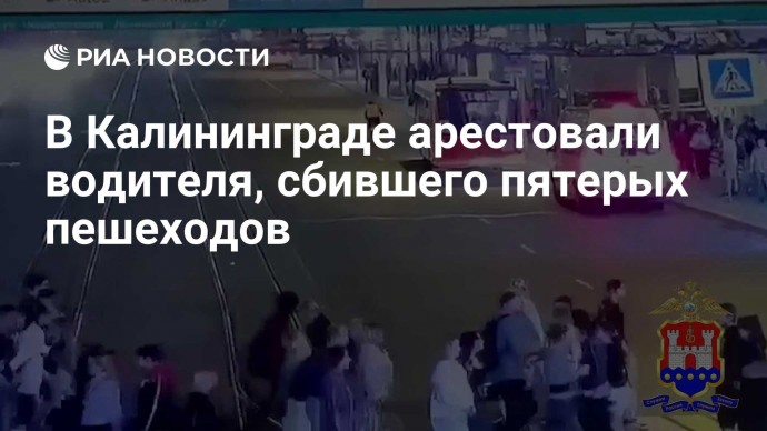 В Калининграде арестовали водителя, сбившего пятерых пешеходов