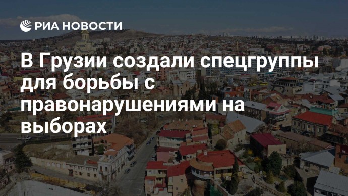 В Грузии создали спецгруппы для борьбы с правонарушениями на выборах