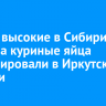 Самые высокие в Сибири цены на куриные яйца зафиксировали в Иркутской области