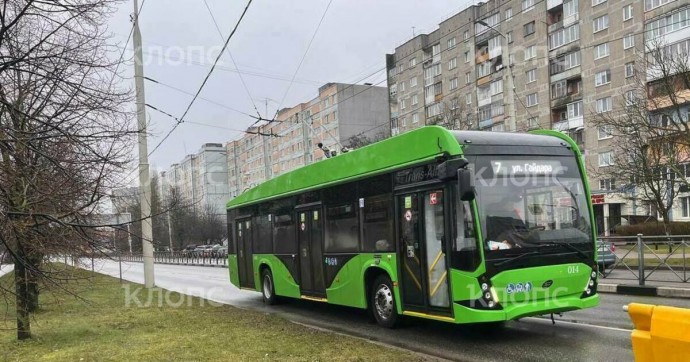 Теперь ещё и «Авангард»: в Калининграде на линию вышли два новых троллейбуса