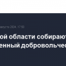 В Курской области собирают вооруженный добровольческий отряд