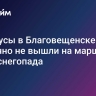 Автобусы в Благовещенске частично не вышли на маршруты из-за снегопада