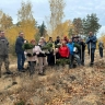 В Белгороде высадили 8 000 сеянцев обыкновенной и крымской сосны