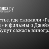 В поместье, где снимали «Гарри Поттера» и фильмы о Джеймсе Бонде, будут сажать виноградники