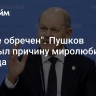 "Иначе обречен". Пушков раскрыл причину миролюбия Шольца