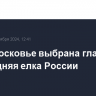 В Подмосковье выбрана главная новогодняя елка России