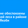 Иркутяне обеспокоены вырубкой леса в районе улицы Якоби