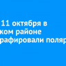 Ночью 11 октября в Иркутском районе сфотографировали полярное сияние