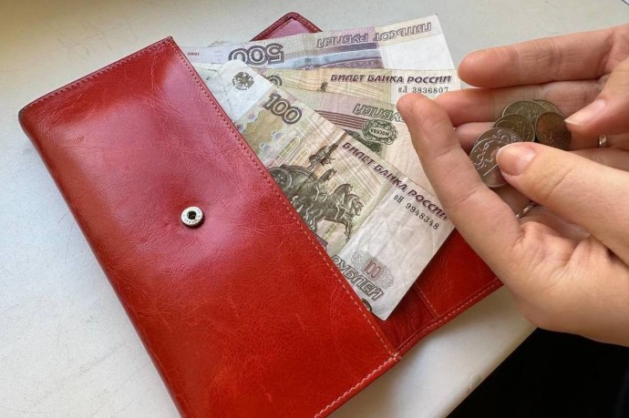 В России собираются ввести период «охлаждения» для борьбы с мошенниками