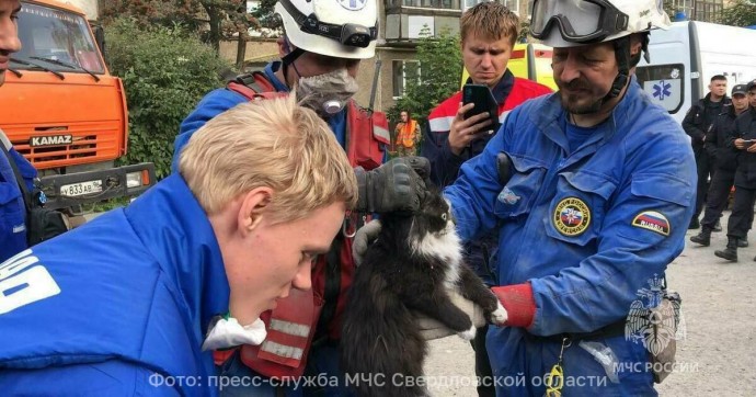 В Нижнем Тагиле из-под завалов взорвавшегося дома спасли 15 человек и кота