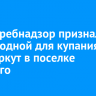 Роспотребнадзор признал непригодной для купания реку Иркут в поселке Горького