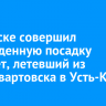 В Братске совершил вынужденную посадку самолет, летевший из Нижневартовска в Усть-Кут