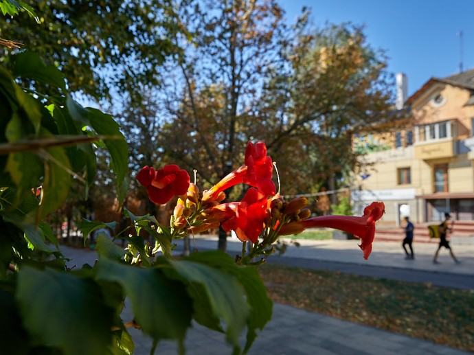 Как отдохнуть белгородцам 20–22 сентября