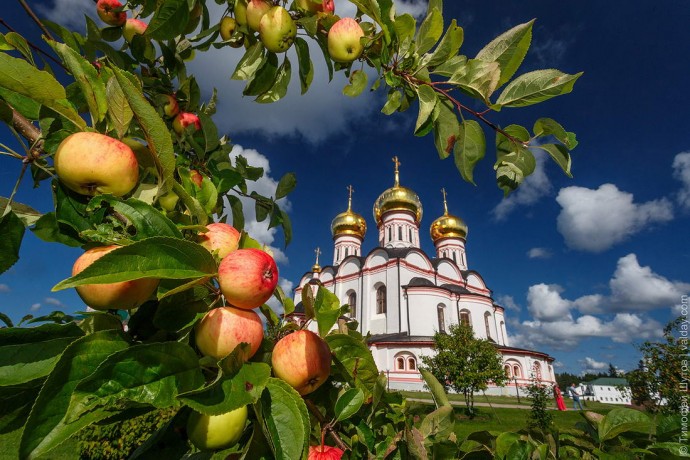 В Иверской обители проходит летняя смена Молодёжной библейско-богословской школы