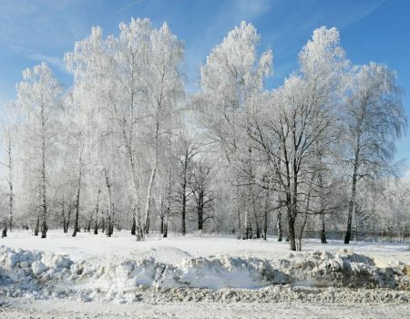 Синоптики из Башкирии поделились прогнозом погоды на декабрь