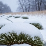 Небольшой снег и до +4°C: прогноз погоды на Сахалине и Курилах на 18 ноября