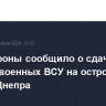 Минобороны сообщило о сдаче в плен 17 военных ВСУ на островах в дельте Днепра