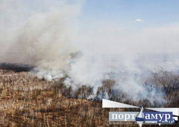 Амурской области компенсируют затраты на тушение лесных пожаров