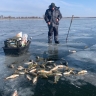 Это творится с рыбой под водой. Что показала подводная камера в Астраханской области 