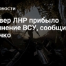 На север ЛНР прибыло пополнение ВСУ, сообщил Марочко