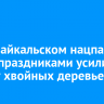 В Прибайкальском нацпарке перед праздниками усилили охрану хвойных деревьев