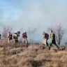 В Сердобском районе Пензенской области вспыхнули заросли камыша