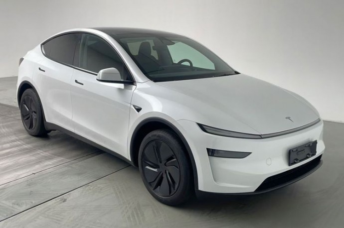 Полноприводная Tesla Model Y китайской сборки будет оснащаться батареями LG