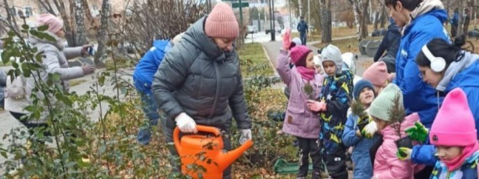 В Новосибирске высадили около 12 тысяч деревьев, кустарников и цветов