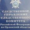 Орловчанка украла у Орловского юридического института МВД России имени Лукьянова более полумиллиона рублей