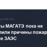 Эксперты МАГАТЭ пока не определили причины пожара в градирне ЗАЭС