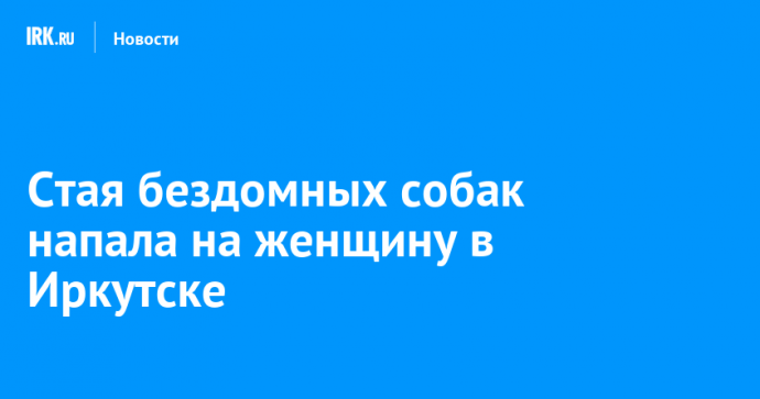 Стая бездомных собак напала на женщину в Иркутске