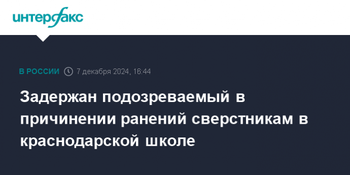 Задержан подозреваемый в причинении ранений сверстникам в краснодарской школе