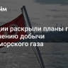 В Турции раскрыли планы по увеличению добычи черноморского газа